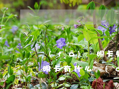 廣發(fā)聰明卡免息分期(廣發(fā)聰明卡有什么權(quán)益)