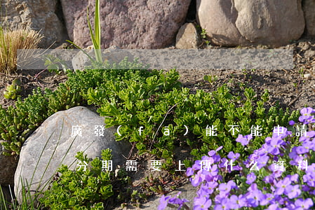 廣發(fā)能不能申請(qǐng)停息分期需要上傳什么資料-廣發(fā)銀行辦理停息分期嗎