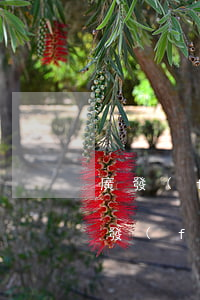 廣發(fā)行信用卡逾期利息2000(廣發(fā)信用卡3000逾期3個(gè)月了 銀行說要起訴)