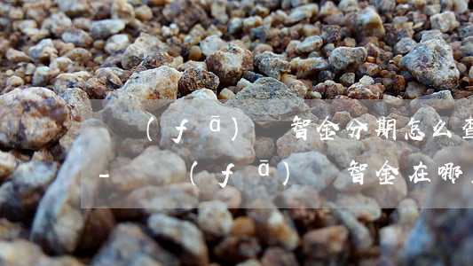 廣發(fā)財智金分期怎么查詢還款記錄-廣發(fā)財智金在哪里看還款
