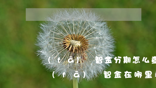 廣發(fā)財智金分期怎么查還款記錄-廣發(fā)財智金在哪里看還款