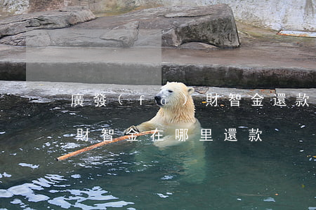 廣發(fā)財智金還款逾期(廣發(fā)財智金在哪里還款)