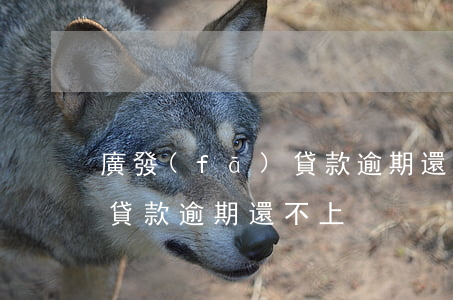 廣發(fā)貸款逾期還不上(廣發(fā)貸款逾期還不上)