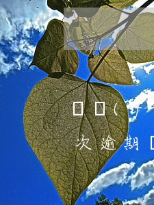 廣發(fā)連續(xù)累計(jì)3次逾期(廣發(fā) 信用卡 逾期)