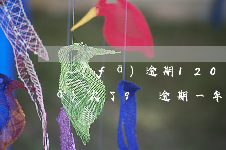 廣發(fā)逾期12000起訴(廣發(fā)欠了9萬逾期一年了,每月只還幾百進(jìn)去,會被起訴嗎)