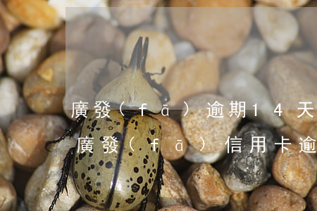 廣發(fā)逾期14天發(fā)律師函(廣發(fā)信用卡逾期10天后果)