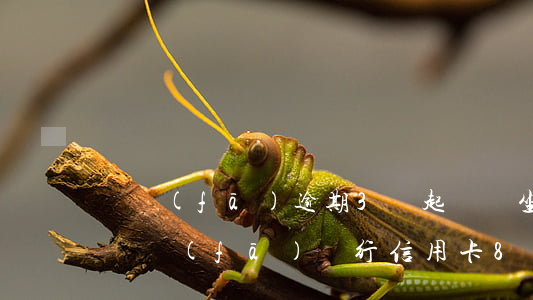 廣發(fā)逾期3萬起訴會坐牢嘛-欠了廣發(fā)銀行信用卡8萬逾期3個多月還不起起訴我怎么辦