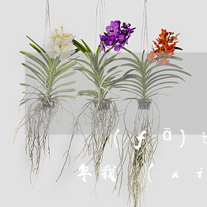 廣發(fā)逾期4年(廣發(fā)逾期4年,我現(xiàn)在還款是還本金還是利息)