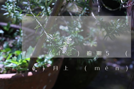廣發(fā)逾期5萬(wàn)兩個(gè)月上門(mén) 廣發(fā)逾期個(gè)人給我打電話說(shuō)上門(mén),是真的?