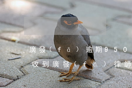 廣發(fā)逾期95000收到律師函了 收到廣發(fā)律師函怎么辦