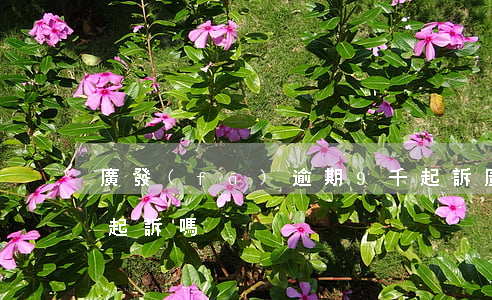 廣發(fā)逾期9千起訴(廣發(fā)會起訴嗎)