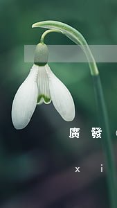 廣發(fā)逾期一個(gè)月可以協(xié)商分期付款嗎?（廣發(fā)逾期多長(zhǎng)時(shí)間可以協(xié)商）