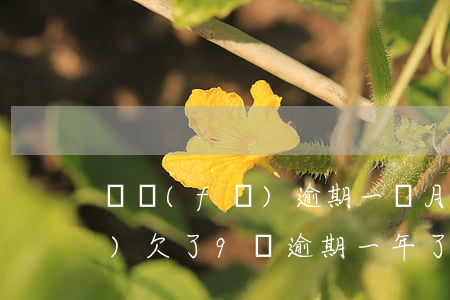 廣發(fā)逾期一個月就起訴(廣發(fā)欠了9萬逾期一年了,每月只還幾百進去,會被起訴嗎)