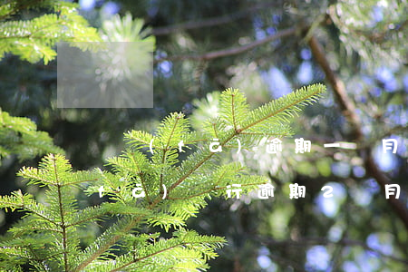 廣發(fā)逾期一個月說委托律師 廣發(fā)銀行逾期2個月打電話來要立案