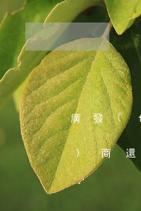 廣發(fā)逾期三個月銀行不協(xié)商還款,怎么解決（廣發(fā)銀行信用卡逾期已協(xié)商成功）