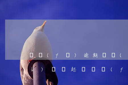 廣發(fā)逾期兩個(gè)月法務(wù)組說起訴(廣發(fā)銀行逾期2個(gè)月說完走法律程序)