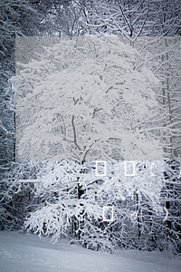 廣發(fā)逾期后全款還了能不銷(xiāo)卡嗎-廣發(fā)逾期后全款還了能不銷(xiāo)卡嗎安全嗎