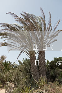 廣發(fā)逾期后扣的利息(廣發(fā)銀行按時還款還被罰息)