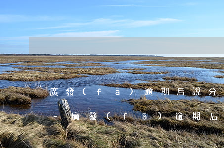 廣發(fā)逾期后說分期每月有個服務費-廣發(fā)逾期后分期還款可以減免手續(xù)費嗎