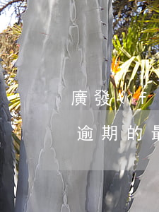 廣發(fā)逾期最好的解釋，廣發(fā)逾期的最佳解釋：理解原因并采取行動(dòng)