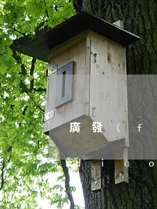 廣發(fā)逾期起訴怎么和法官溝通調(diào)解-廣發(fā)逾期起訴怎么和法官溝通調(diào)解呢