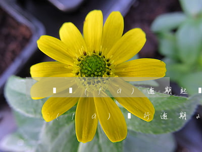 廣發(fā)逾期起訴時(shí)間 廣發(fā)銀行逾期2個(gè)月打電話來(lái)要立案