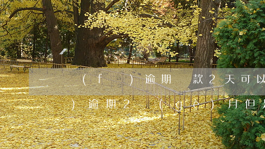 廣發(fā)逾期還款2天可以嗎(廣發(fā)逾期2個(gè)月但是最低還了,今天打電話非要全額還)