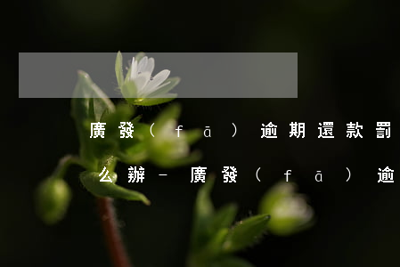 廣發(fā)逾期還款罰款違約金20元怎么辦-廣發(fā)逾期還款罰款違約金20元怎么辦理