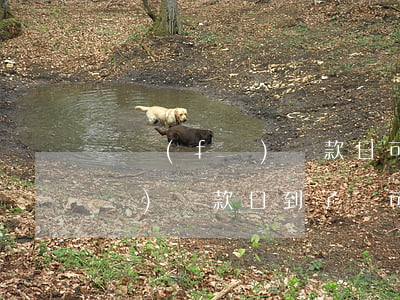 廣發(fā)還款日可以逾期幾天(廣發(fā)還款日到了還可以寬限幾天)