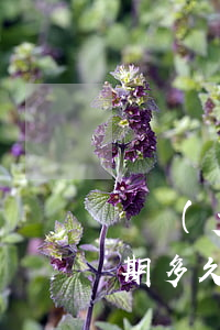 廣發(fā)銀行信用卡7萬(wàn)逾期多久起訴(廣發(fā)信用卡3000逾期3個(gè)月了 銀行說(shuō)要起訴)