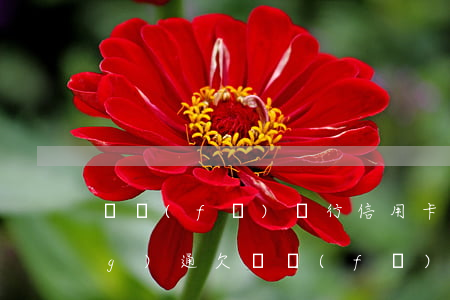廣發(fā)銀行信用卡不還被網(wǎng)通(欠廣發(fā)銀行信用卡兩萬(wàn)多還不上會(huì)被起訴嗎)