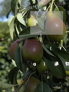 廣發(fā)銀行信用卡不還被網(wǎng)通(欠廣發(fā)銀行信用卡兩萬多還不上會被起訴嗎)
