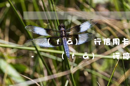 廣發(fā)銀行信用卡停息掛賬流程郵政-廣發(fā)銀行停息掛賬有申請成功的嗎