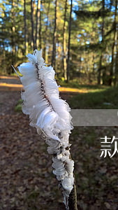 廣發(fā)銀行信用卡怎么停息掛賬分期還款了，如何辦理廣發(fā)銀行信用卡停息掛賬并進行分期還款？