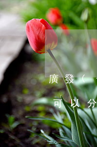 廣發(fā)銀行信用卡欠6萬(wàn)可以分期嗎-廣發(fā)銀行信用卡欠6萬(wàn)可以分期嗎
