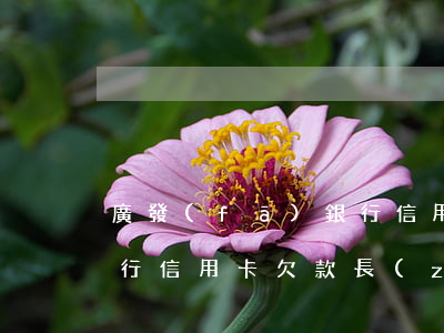 廣發(fā)銀行信用卡欠(廣發(fā)銀行信用卡欠款長(zhǎng)期未還,將正式進(jìn)入)