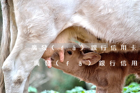 廣發(fā)銀行信用卡逾期140000(廣發(fā)銀行信用卡逾期協(xié)商電話多少)