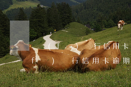 廣發(fā)銀行信用卡逾期37天(廣發(fā)銀行信用卡 逾期一天有沒有影響?)