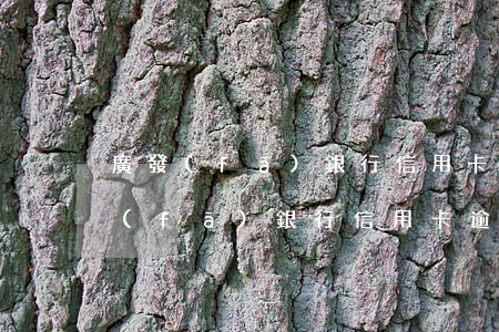 廣發(fā)銀行信用卡逾期一個多月(廣發(fā)銀行信用卡 逾期)