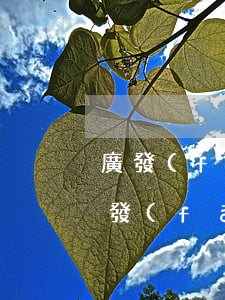 廣發(fā)銀行信用卡逾期一天違約金(廣發(fā)銀行信用卡逾期一天違約金多少)