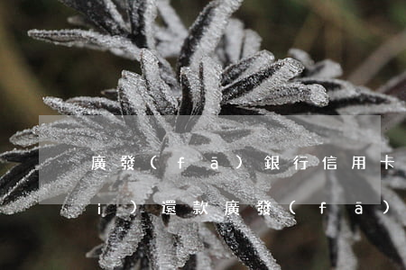 廣發(fā)銀行信用卡逾期三天內(nèi)還款(廣發(fā)銀行信用卡逾期三天內(nèi)還款會(huì)怎么樣)