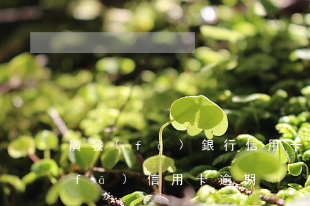 廣發(fā)銀行信用卡逾期了三天(廣發(fā) 信用卡 逾期)