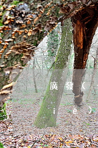 廣發(fā)銀行信用卡逾期了怎么協(xié)商(廣發(fā)銀行信用卡 逾期)
