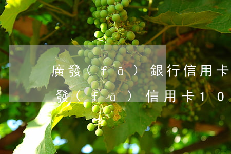 廣發(fā)銀行信用卡逾期十年怎么辦(廣發(fā)信用卡10萬逾期一年)