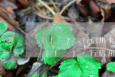 廣發(fā)銀行信用卡逾期多久還一次-廣發(fā)銀行信用卡逾期一天有沒有影響?