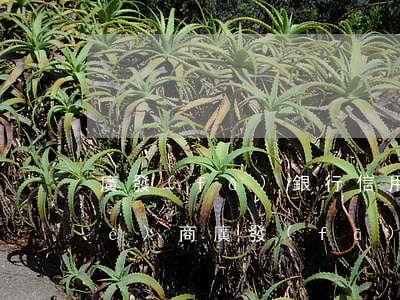 廣發(fā)銀行信用卡逾期柜臺協(xié)商 廣發(fā)銀行信用卡逾期柜臺協(xié)商