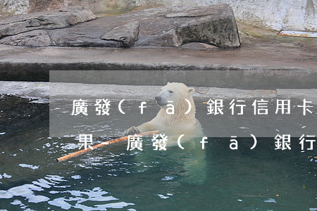 廣發(fā)銀行信用卡逾期結(jié)果-廣發(fā)銀行信用卡 逾期二天有沒有影響?