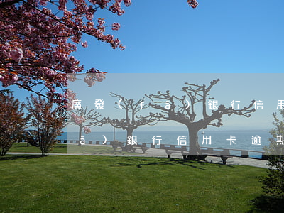 廣發(fā)銀行信用卡逾期罰息(廣發(fā)銀行信用卡逾期幾天會(huì)有不良記錄)