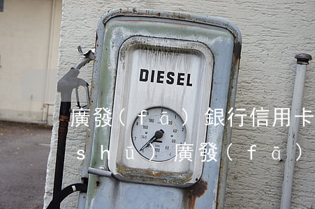 廣發(fā)銀行信用卡逾期還款承諾書(shū)(廣發(fā)銀行信用卡逾期還款承諾書(shū))