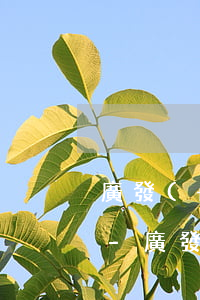 廣發(fā)銀行信用卡還款晚了會有逾期-廣發(fā)銀行信用卡還款晚了會有逾期嗎